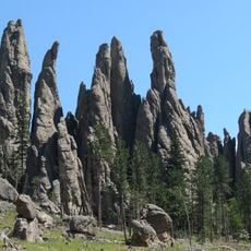 Needles