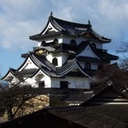 Kansai'de görülecekler: Kyoto'nun tapınaklarından Osaka'nın neon ışıklarına
