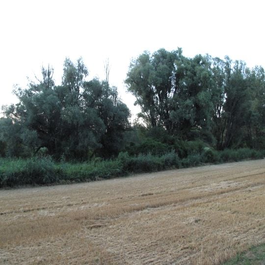 Oleksovická mokřina