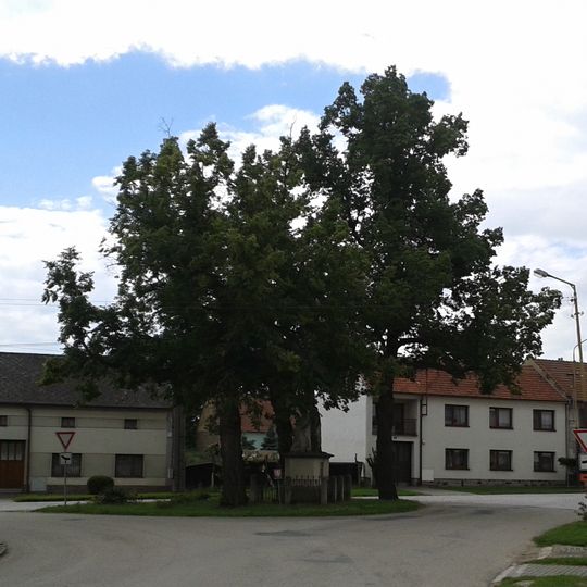 2 ks lípy malolisté