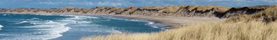 Panoramic View 1