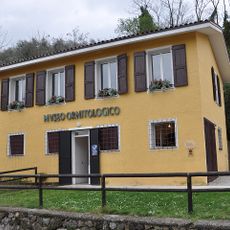 Museo ornitologico "Massimino della Riva"