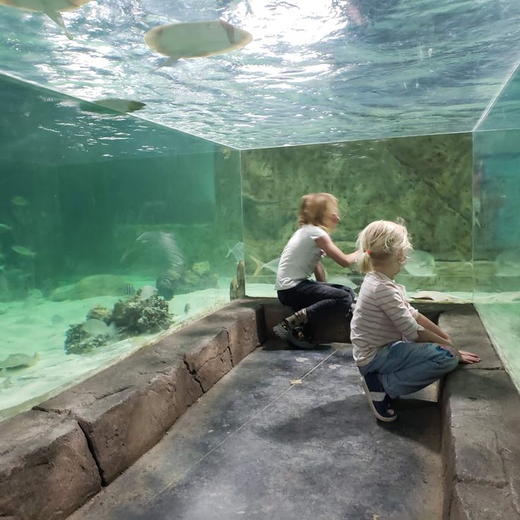 Acquario di Sacramento