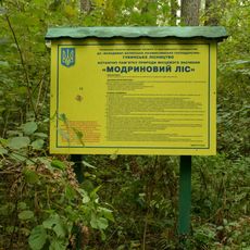 Модриновий ліс