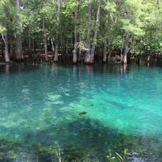 Manatee Springs State Park
