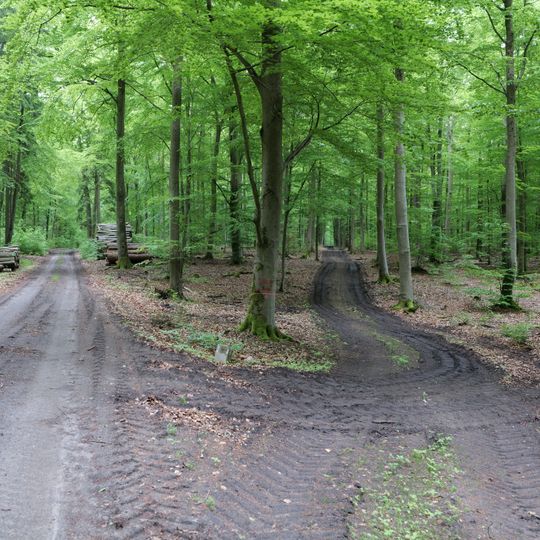 Kleine Schorfheide - Havel