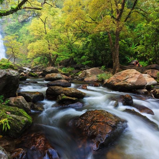 Parc national de Khlong Lan