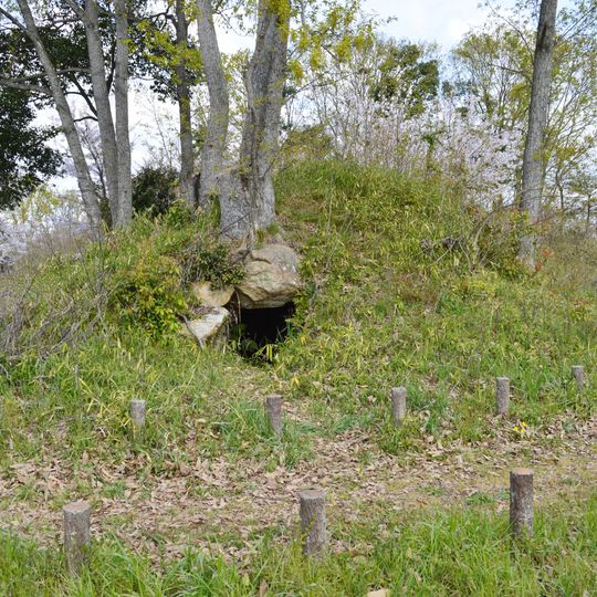 Miyayama Kofun Group