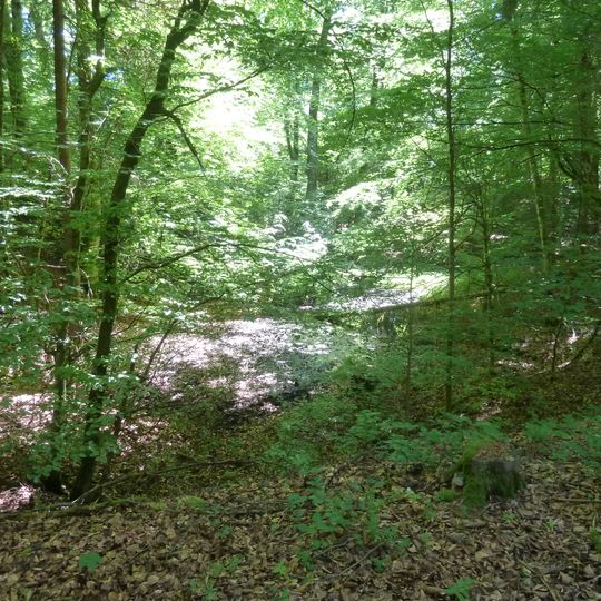 Tongrube am Wannensträßle