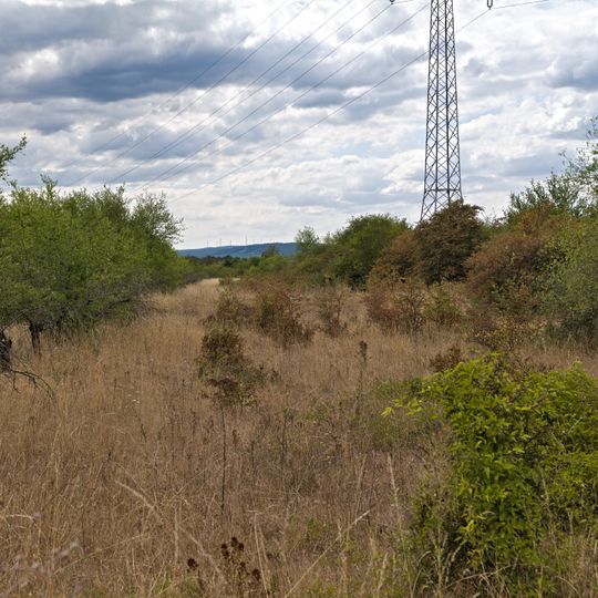 Dünen- und Sandgebiet Mainz-Ingelheim