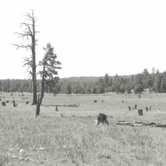 Barney Flat Historic Railroad Logging Landscape
