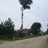 Сонино (Павлово-Посадан кӀошт)