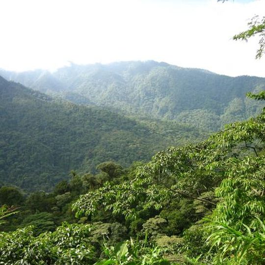 Parco nazionale Braulio Carrillo