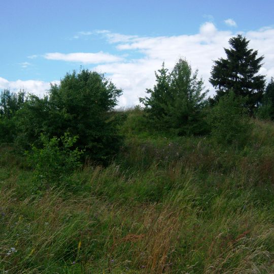 Maisiejūnų piliakalnis II