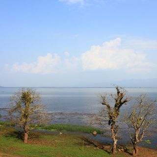 Santuário de Vida Selvagem do Lago Indawgyi