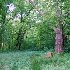 Castle Nowym Kościele