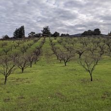 Los Altos Hills
