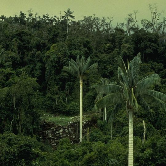 Parque Nacional Cutervo