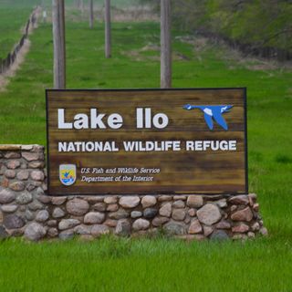 Lake Ilo National Wildlife Refuge