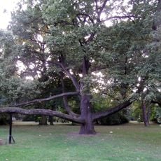 Park Klepacza w Łodzi
