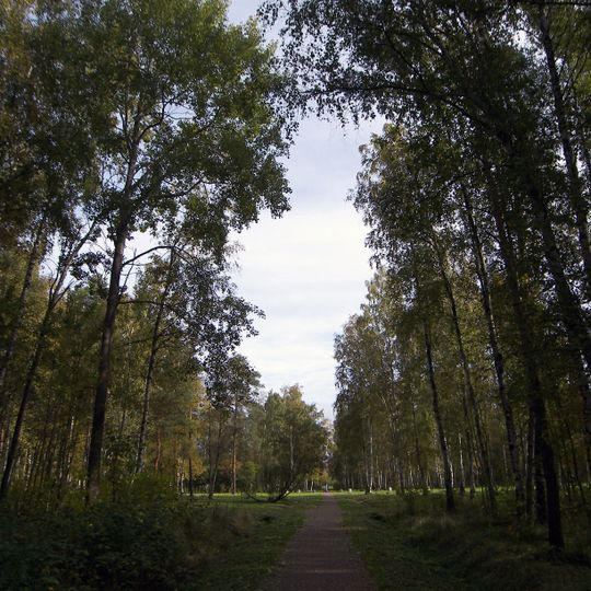 Park Sosnovaya Polyana