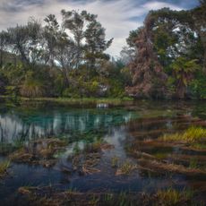 Te Waikoropupu