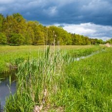 Niederung der Unteren Havel