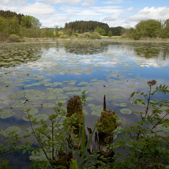 Herzogenweiher