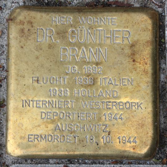 Stolperstein en memoria de Dr. Günther Brann