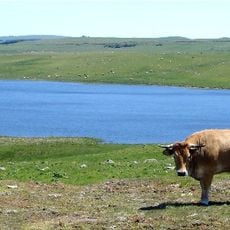Lac de Saint-Andéol