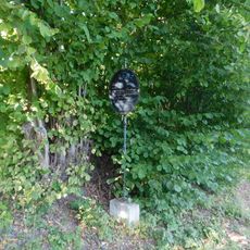 Obrázek černého psa Kazana u Andělské Hory