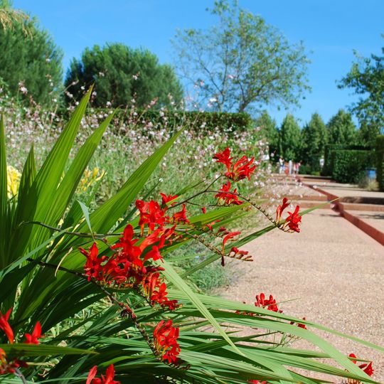 Les Jardins de Colette