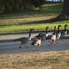Fleming Park