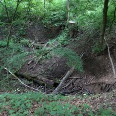 1 Doline mit mäanderndem Zuflussgraben im Gewann „Stegwiese Abt. VII/13“