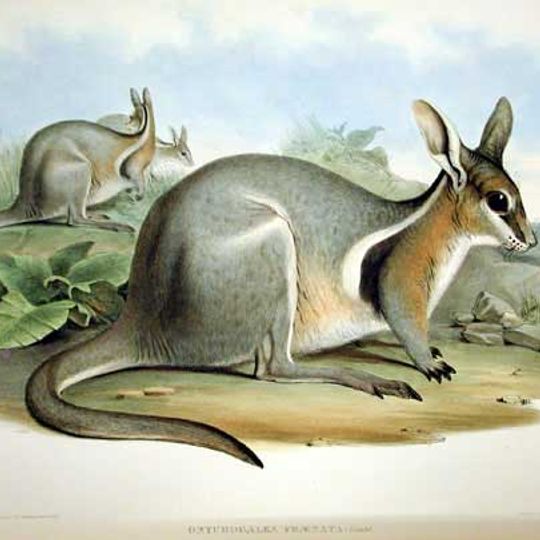 Taunton National Park