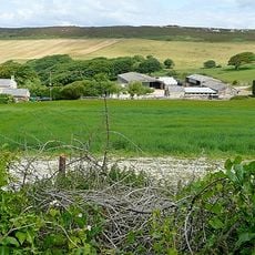 Headon Warren and West High Down SSSI