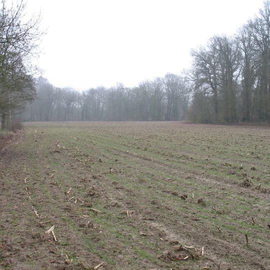 Tumuli in Wageningen