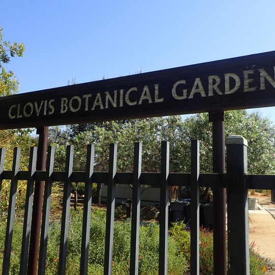 Clovis
