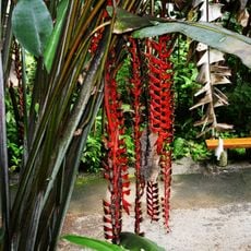 World Botanical Gardens