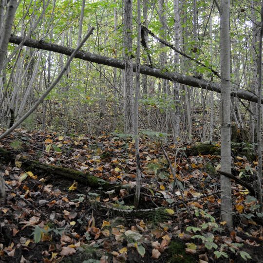 Dauguļu Kapču kalns