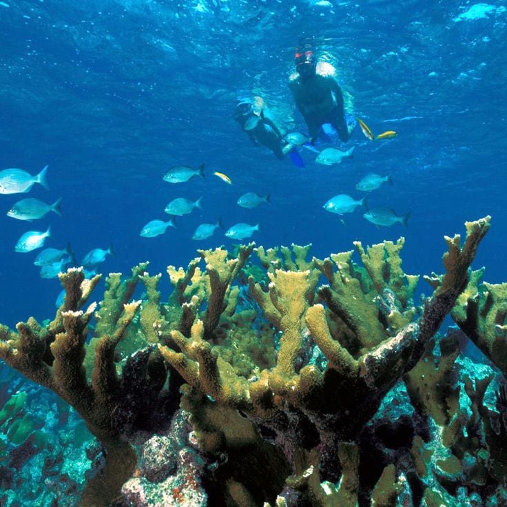 Biscayne-Nationalpark