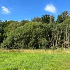 Feuchtgebiet am Fuße des Rochlitzer Berges