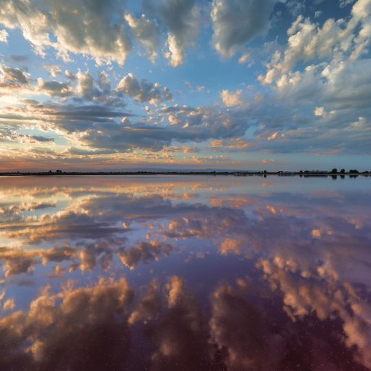 Riserva naturale Salina di Margherita di Savoia