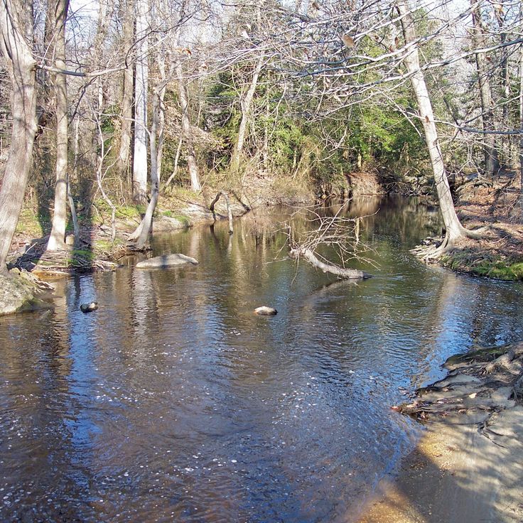 Parque Estatal Killens Pond