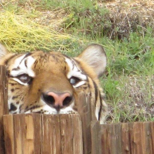 Wildlife WayStation