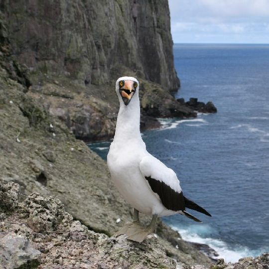 Malpelo Fauna and Flora Sanctuary