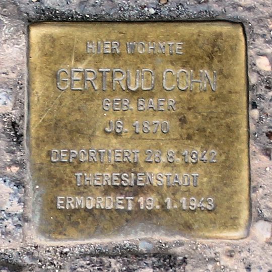 Stolperstein dedicated to Gertrud Cohn