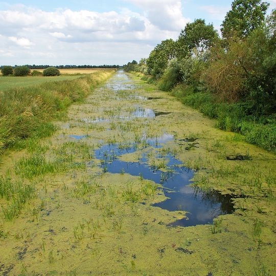 Lüchower Landgrabenniederung