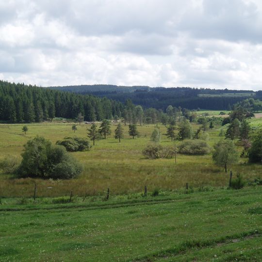 Tourbière du Longéroux