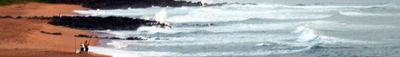 Panoramic View 1